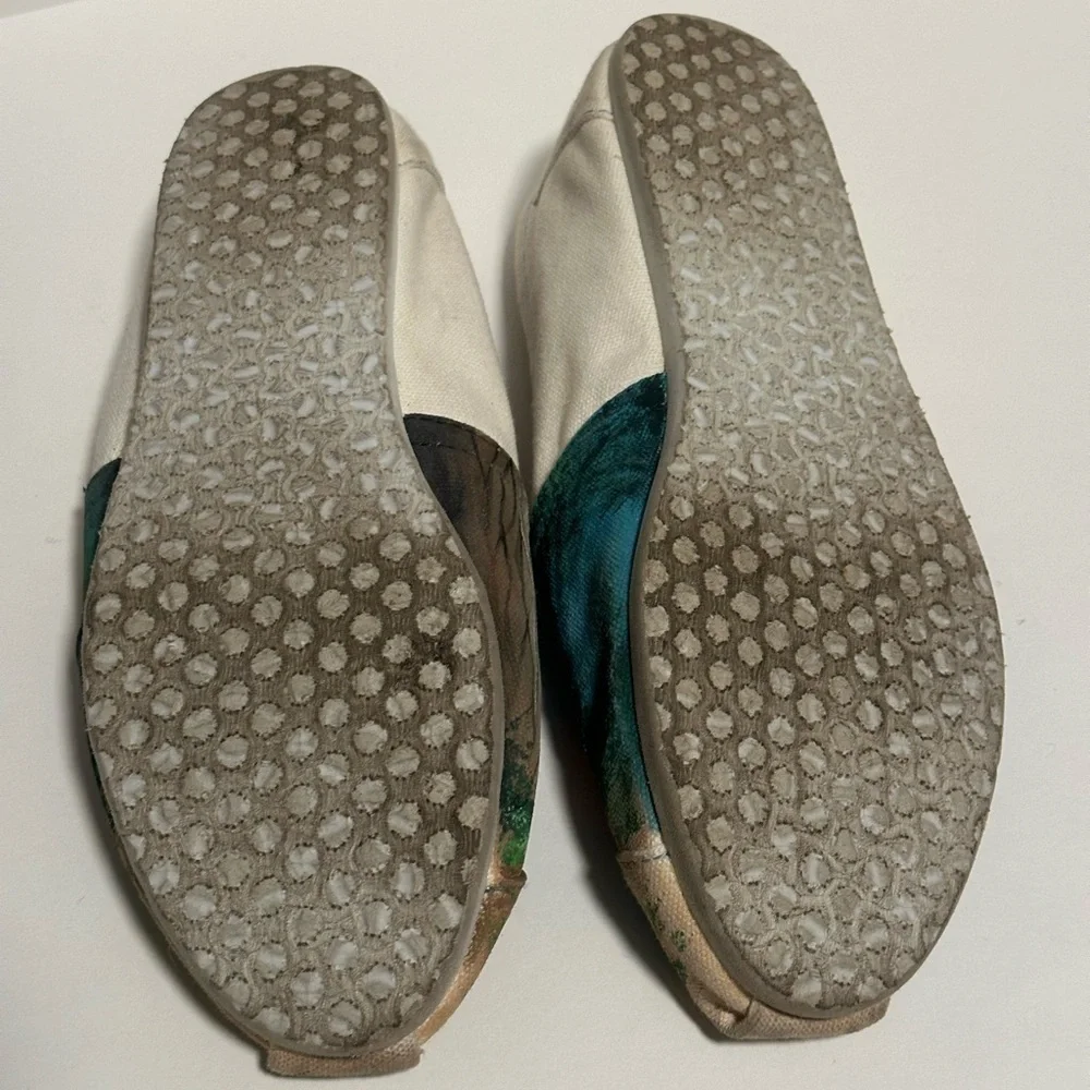 Tom’s Custom Painted Fox and the Hound Shoes